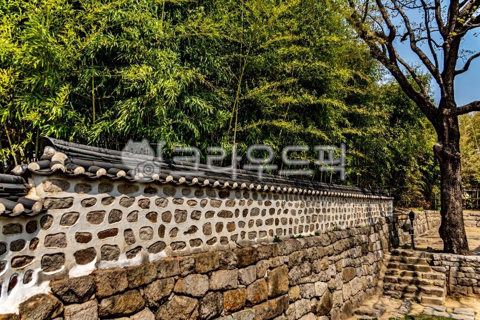창녕위궁재사,한옥,문화재,한국적인,한국전통,전통문화,hanok,koreanstylehouse,architecture,건축학,돌담,대나무,bamboo