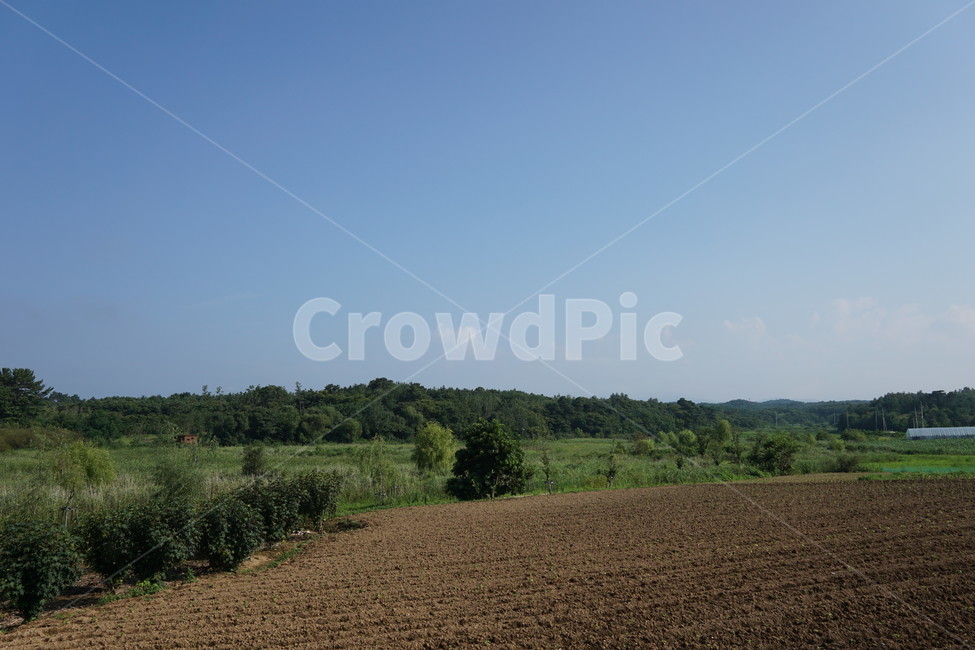 nature,자연,outdoors,옥외,sky,plant,tree,forest