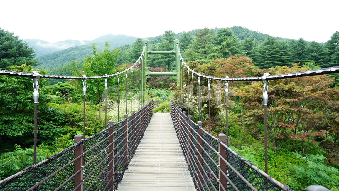 가평,숲,풍경,아침고요,수목원,자연,풍경,nature,landscape,building,건물,bridge,다리,rope bridge,로프 브릿지,suspension bridge,현수교