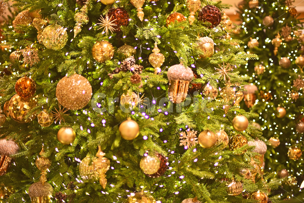 크리스마스,성탄트리,년말장식,성탄절,christmas,xmas,decoration,tree,ball,성탄볼,보케,빛망울,화려한,칼라풀,조명,불빛,라이트,색감,colorful,light,bokeh,배경,바탕,백그라운드,background,나무,장식,christmastree,크리스마스트리,plant,식물,도토리,메리크리스마스,성탄절,merry christmas