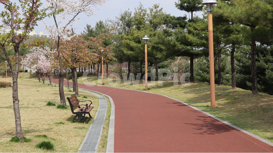 공원,산책로,의자,봄,나무,자연,풍경,nature,landscape,bench,벤치
