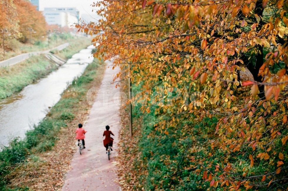 가을,산책,자전거,단풍,양재숲,라이딩,풍경,가을,계절,fall,autumn,season,사람,인물,인간,human,person,스포츠,레저,운동,sports,leisure,exercise,건강,헬스웨어,헬스케어,healthware,health care