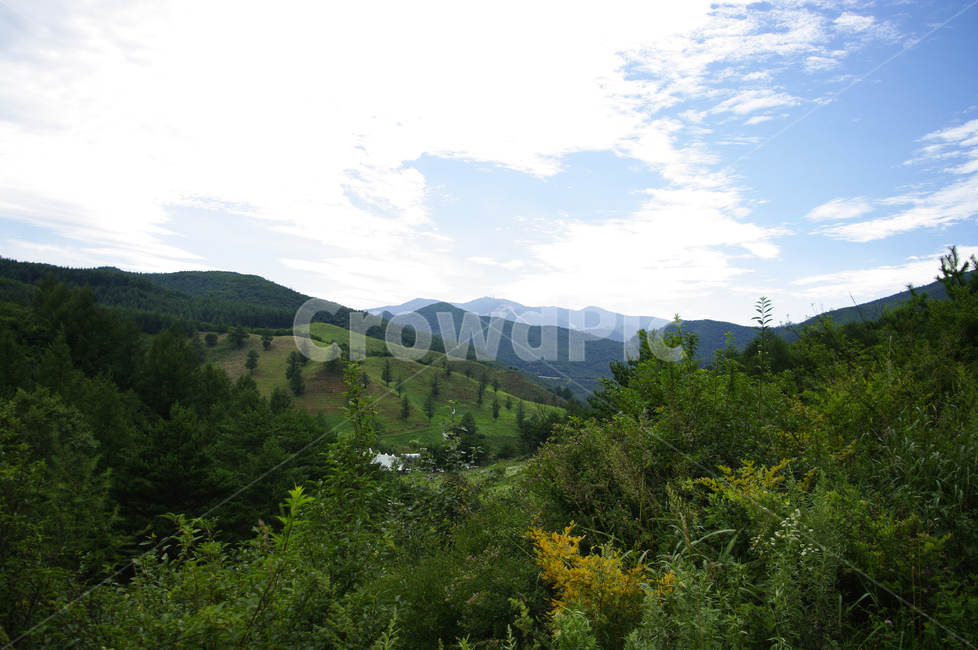 산,풍경,하늘,구름,나무,자연,풍경,nature,landscape,outdoors,옥외,hill,언덕