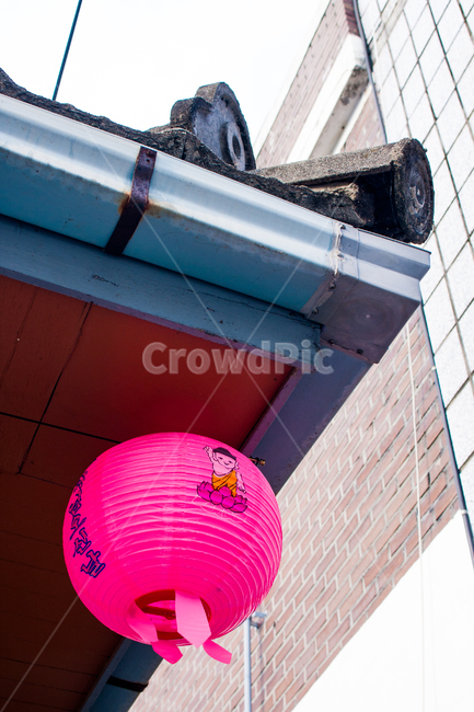 pink,lotus lantern,tiled house,Buddhas Birthday,building