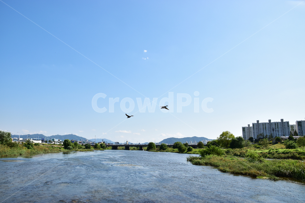 배경,아름다운,자연,강,물,새,비행,구름,파란,하늘,background,beautiful,nature,river,water,bird,flying,clouds,blue,sky