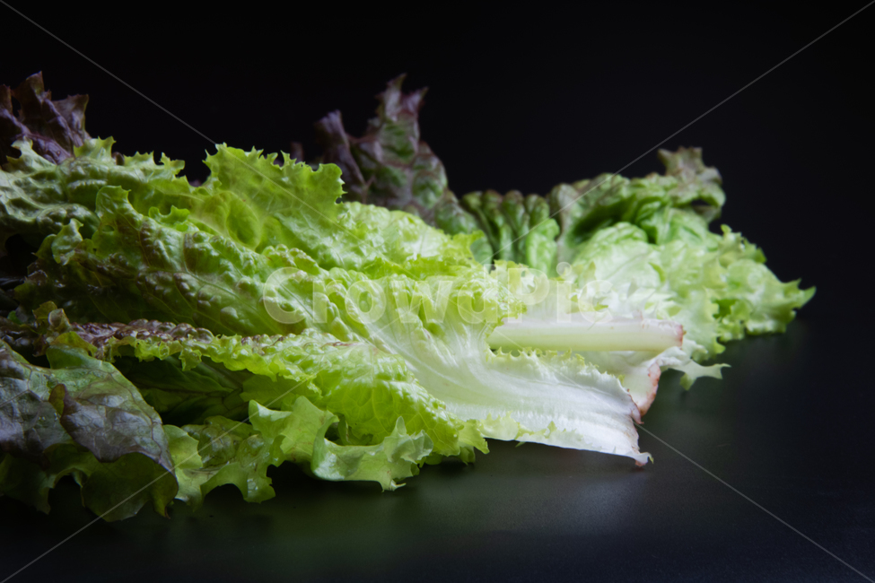 상추,쌈,야채,채소,홍상추,음식,식재료,요리,food,cook,meal,dishes,food reserves,채소,야채,vegetables
