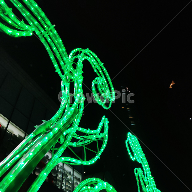 네온,빛,겨울,밤,반짝,neon,light,shining,christmas,winter,night