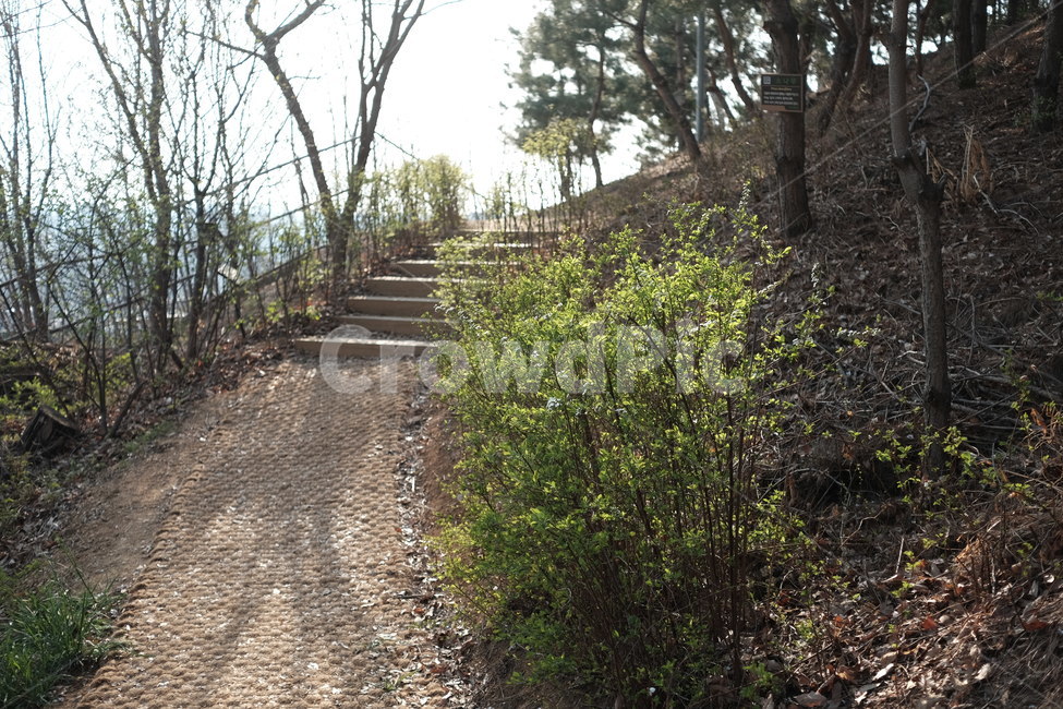 흙길,자갈,road,dirtroad,ground,산길