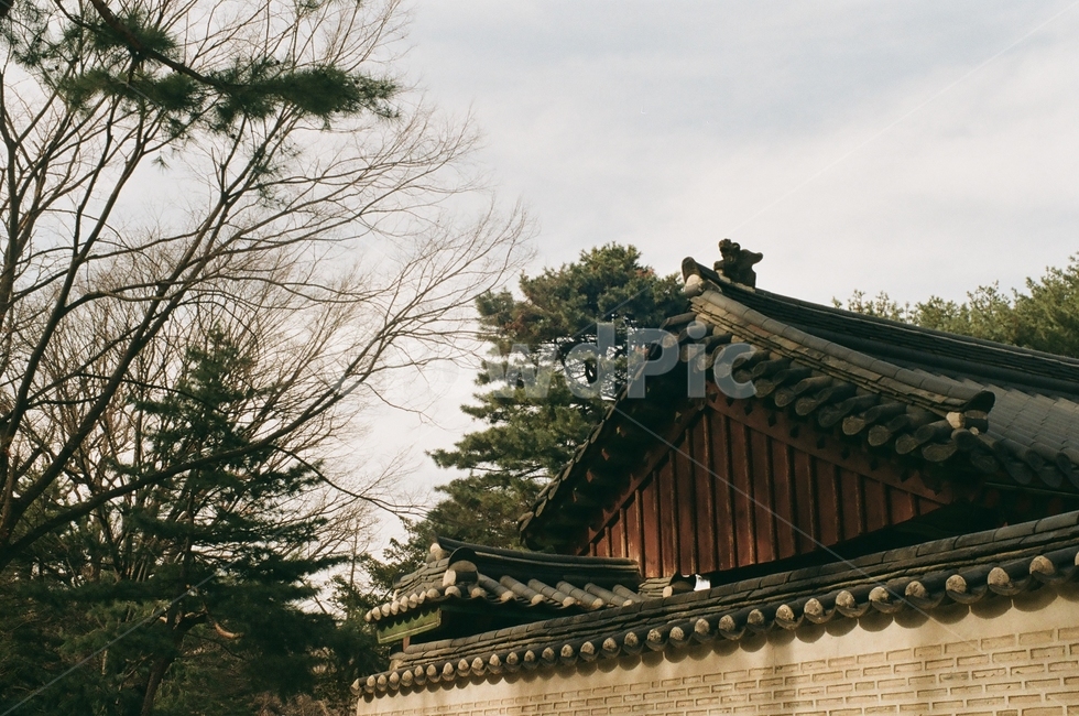 종묘,한옥,궁,전통,전통건물,조선,조선건축,chosun
