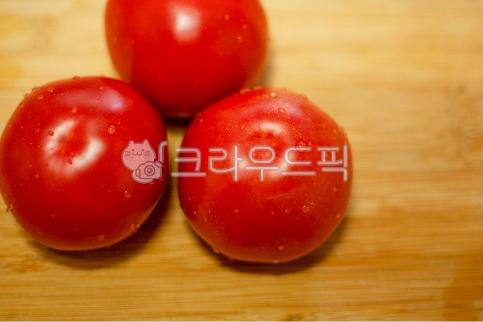 토마토,tomato,vegetable,채소,빨강,누끼,바탕,backgrdunds,white,isolated,cutout,plate,그릇,연근,접시,뿌리,식물,자연식물,반찬,food,음식