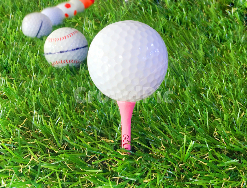 스포츠,골프,골프공,골프핀,잔디골프공,스포츠,레저,운동,sports,leisure,exercise