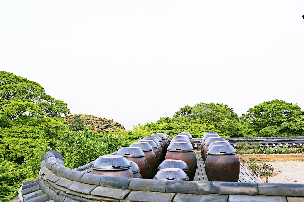 항아리,단지,옹기,독,풍경,자연,배경
