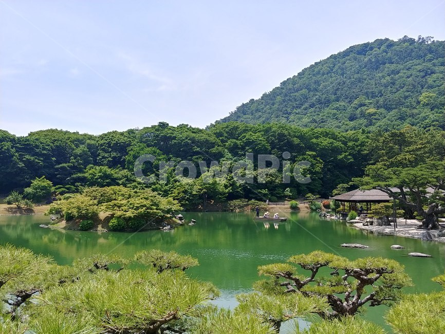 연못,호수,호숫가,정원,공원,식물,초록,lake,plant,garden,gardenning,gardenpark,park,aquaticplant