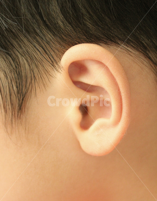 asian,baby,body,boy,child,closeup,ear,hair,head,human,kid,listen,men,people,person,skin,sound,young,동양인,아시아인,어린이,아이,아기,소년,남자아이,남자,신체,몸,클로즈업,얼굴,머리,머리카락,키즈,사람,피부,귀,소리,젊은,듣기,귓바퀴,옆모습,구렛나루,사람,인물,인간,human,person,신체일부,몸,body,어린이,어린아이,child,children,kid