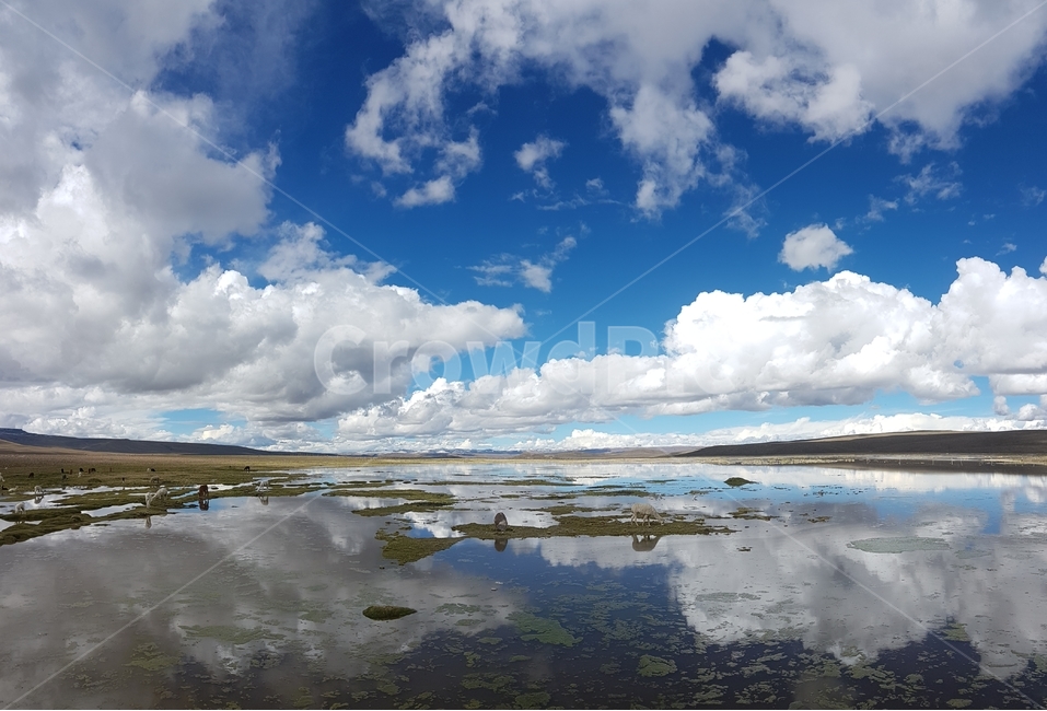 자연,반영,반사,구름,힐링,나무,평화,자연,풍경,nature,landscape,해외,외국,세계,foreign,oversea,world,세계자연풍경,해외자연풍경,외국자연풍경,world nature landscape,weather,날씨,outdoors,옥외,land,땅,cumulus,적운,sky,하늘,cloud,water,물