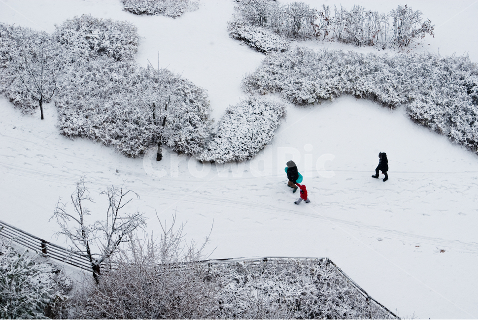 겨울,눈썰매,감성,하얀색,겨울풍경,nature,자연,outdoors,옥외,snow,눈
