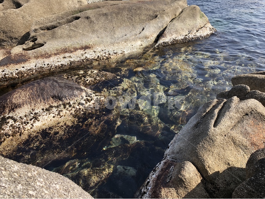 바위,강릉,소돌,소돌아들바위공원,겨울,겨울바다,자연,풍경,nature,landscape,rock,록,promontory,곶