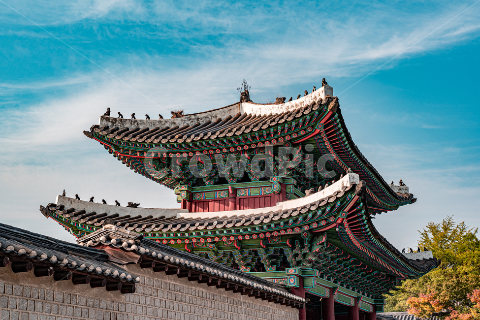 창경궁,홍화문,궁궐,궁,서울,문화재,문화유산,관광,건물,건축물,한국전통,한국문화,korean traditional,korean culture,건축물,건물외관,exterior,building,structure,architecture,construction