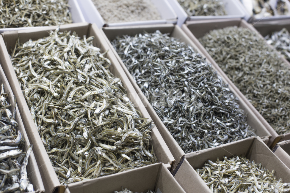 멸치,마른멸치,건멸치,건조,식품,건조식품,가공,칼슘,반찬,밑반찬,재료,생선,수산물,해산물,건어물,잔멸치,식재료,시장,멸치육수,음식,식재료,요리,food,cook,meal,dishes,food reserves