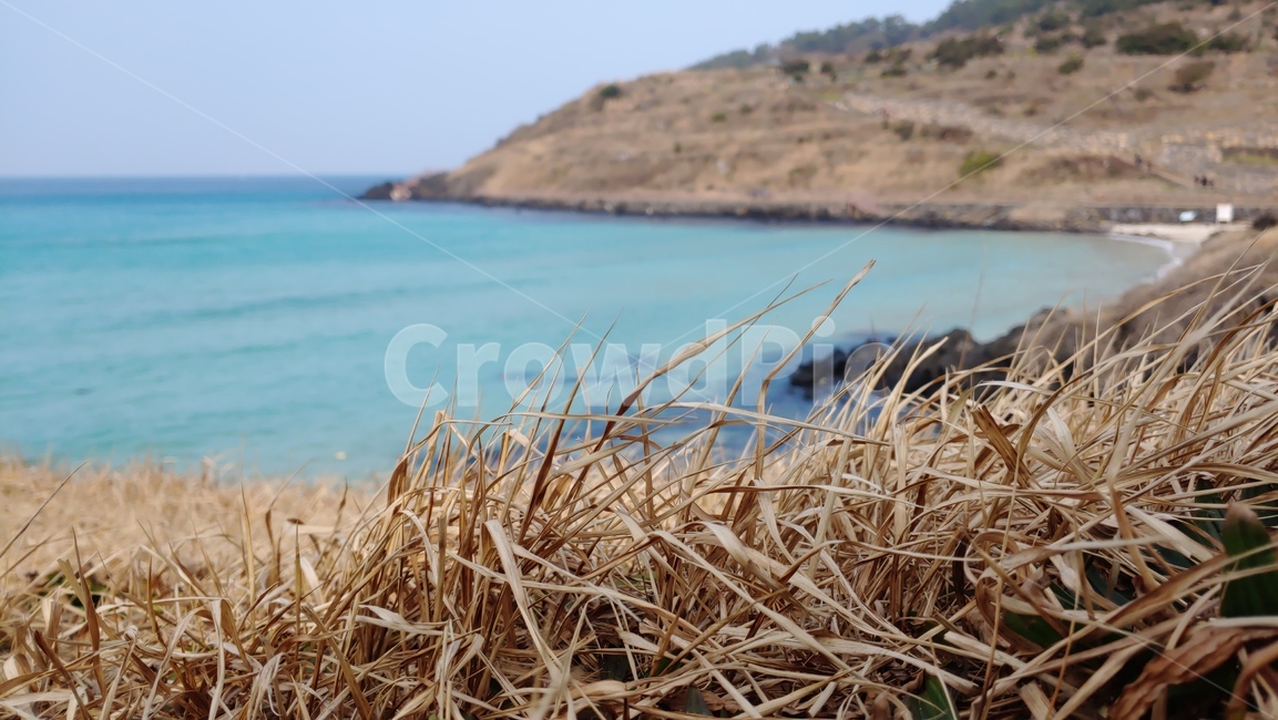 제주도함덕해수욕장,제주도서우봉,제주해변,hamdeokbeach,jejuisland,jejubeach
