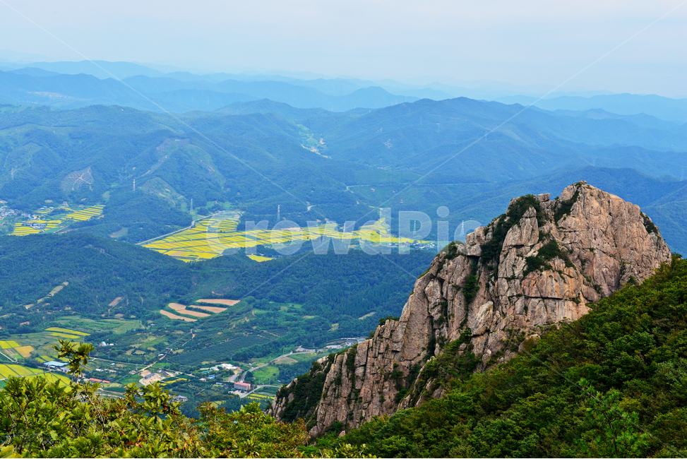 nature,자연,mountain,산,mountainrange,산맥,outdoors,옥외,경치,경관,풍경,영암,월출산,공원,국립공원,기암,괴석,기암괴석,절경,들녁,영암들녁,농업,농사,농경,경작,자연,풍경,nature,landscape