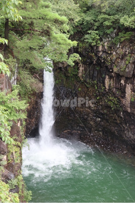 폭포,나무,절벽,물,자연,풍경,falls,tree,cliff,water,nature,scenery,taki,ki,zetppeki,mizu,자연,풍경,nature,landscape,river,강,outdoors,옥외,waterfall