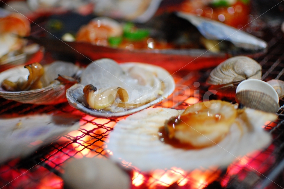 조개,조개구이,음식,캠핑,어패류,그릴,수산물,식사,맛있는,가리비,숯불,구이,불,밤,즐거운,clam,food,seafood,grill,cinner,camping,음식,식재료,요리,food,cook,meal,dishes,food reserves,수산물,해산물,fishery products,seafood