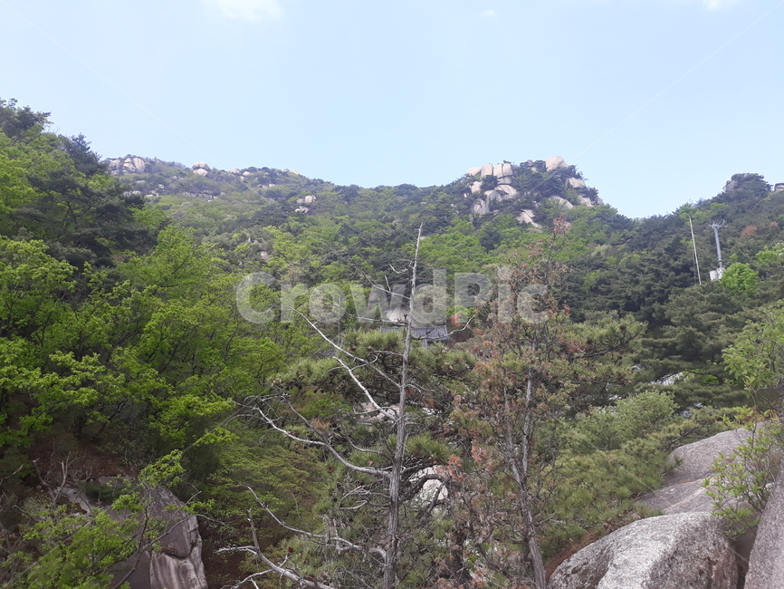 산,등산,나무,정상,봉우리,자연,풍경,nature,landscape,slope,경사