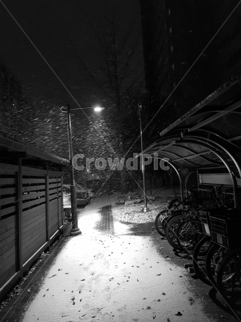 가로등,눈,빛,발자국,겨울,겨울,계절,winter,season,흑백,모노톤,monochrome,black and white