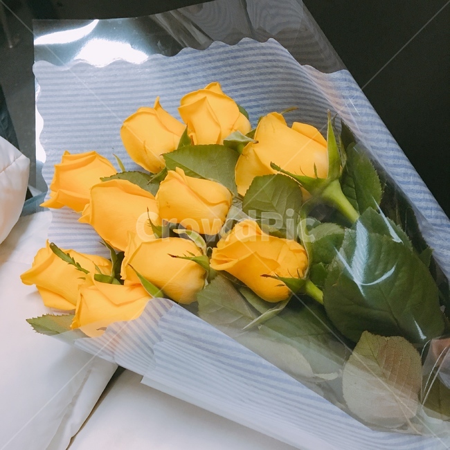 노란장미,장미,꽃다발,장미꽃다발,노란꽃다발,꽃,flower,기념일,축하,anniversary,congratulation,celebrate,celebration