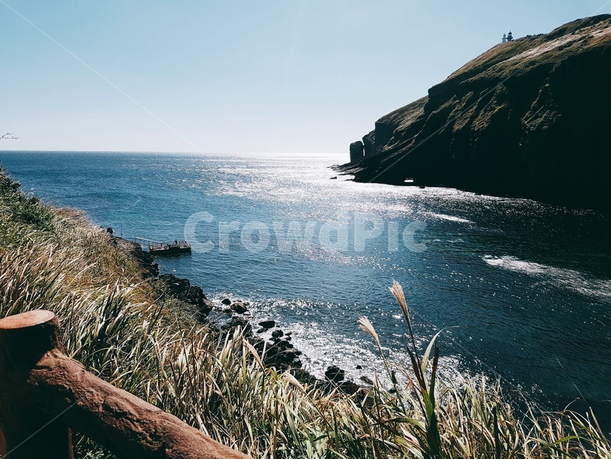제주도,바다,풀,파도,풍경,제주도풍경,고화질,초고화질,울타리,자연,풍경,nature,landscape,promontory,곶