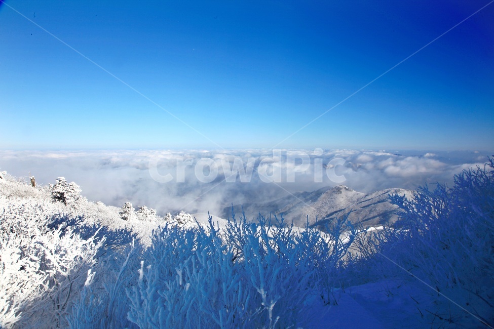 tree,나무,plant,식물,nature,자연,outdoors,옥외,ice,빙,snow,눈,mountain,산,mountainrange,산맥,상고대,무주,덕유산,덕유산설경,설경,설천봉,향적봉,중봉,덕유산국립공원,운해,겨울,계절,winter,season,자연,풍경,nature,landscape