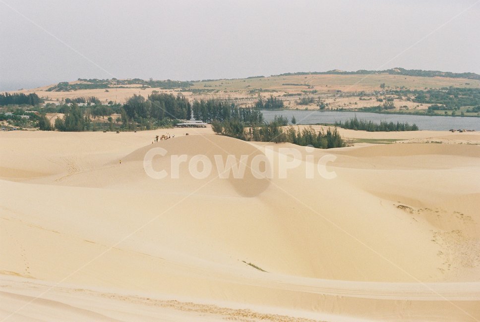 soil,흙,outdoors,옥외,sand,모래,nature,자연,dune,모래언덕,사막,desert,무이네,muine,베트남,vietnam,화이트샌듄,whitesand