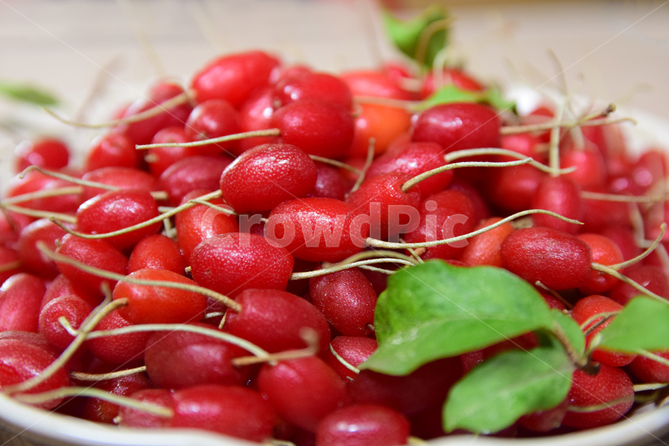 보리수,보리수열매,접시,빨간열매,열매,시콤달콤,fruits,redfruits,음식,식재료,요리,food,cook,meal,dishes,food reserves,과일,열매,fruit