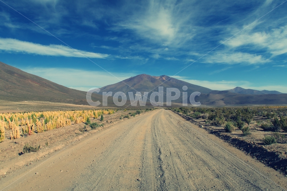 길,흙길,산,하늘,퀴노아밭,도로,길다,road,nature,roadtrip,view,outdoor,landscape,longroad,자연,풍경,nature,landscape,해외,외국,세계,foreign,oversea,world,세계자연풍경,해외자연풍경,외국자연풍경,world nature landscape,gravel,자갈,dirt road,outdoors,옥외