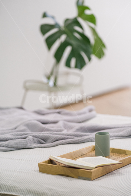 가구,독서,책,인테리어,휴식,라이프스타일,모던,미니멀,실내,장식품,디자인,소품,하우스,휴식,힐링,rest,relaxation,healing,인테리어,실내디자인,interior design