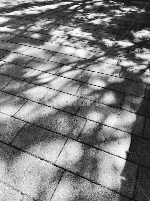 그림자,햇빛,흑백,바닥,오후,흑백,모노톤,monochrome,black and white