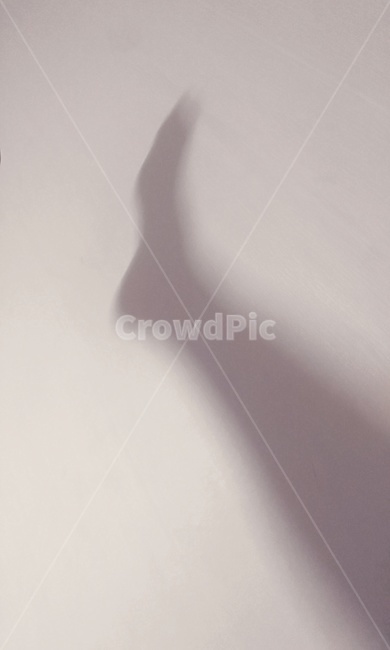 발,그림자,흰,검정,다리,사람,인물,인간,human,person,신체일부,몸,body,실루엣,그림자,silhouette,shadow
