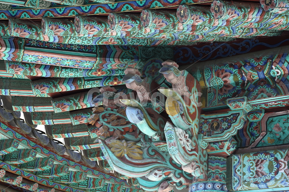 단청,한국전통,불교,사찰,temple,한국전통,한국문화,korean traditional,korean culture,건축물,건물외관,exterior,building,structure,architecture,construction