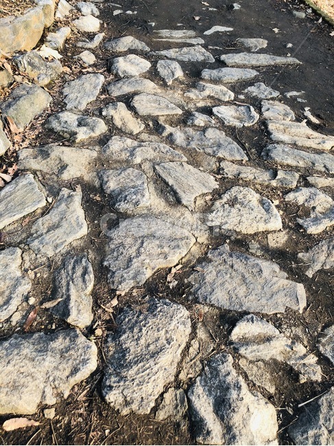 walkway,보도,path,판석,flagstone,돌,자갈,바닥,stone,gravel,바위,rock