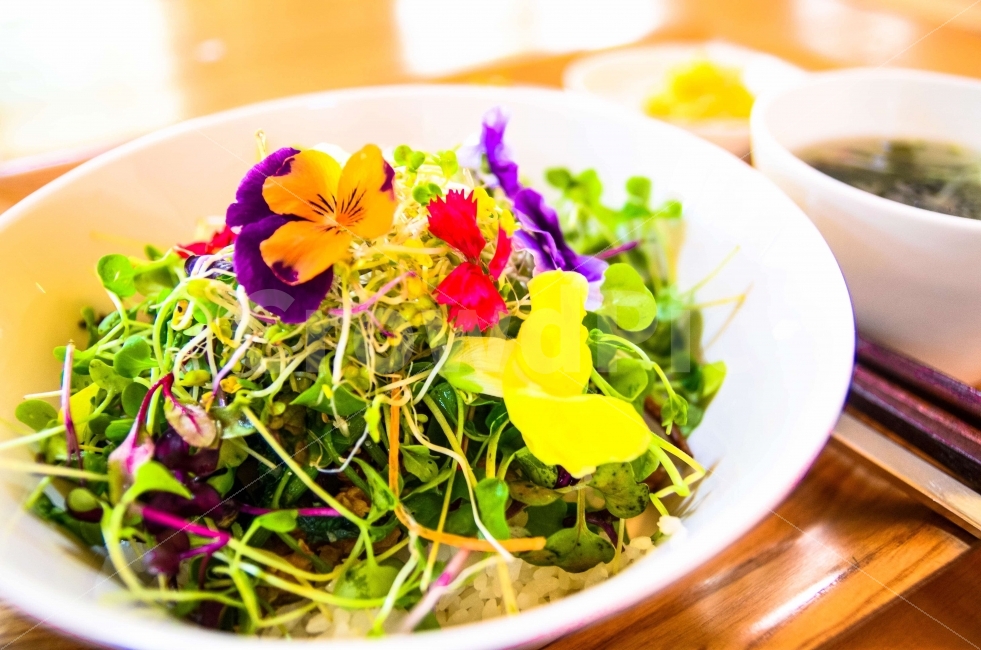 꽃,밥,비빔밥,식당,한식,음식,식재료,요리,food,cook,meal,dishes,food reserves,채소,야채,vegetables,한식,한국음식,한국요리,korean food,korean dishes,korean meal,korean cook