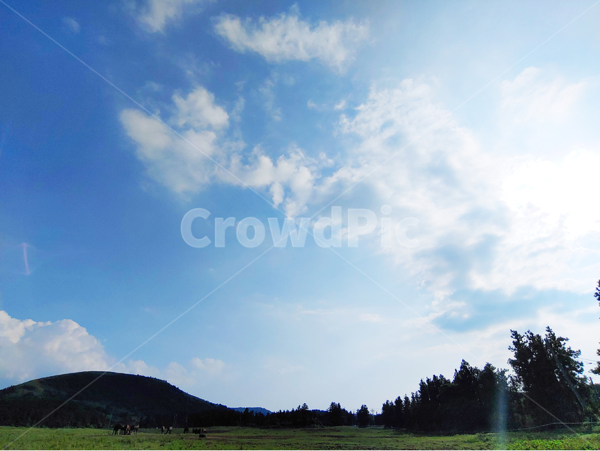 nature,자연,outdoors,옥외,field,목초지,grassland,들,하늘,구름,쾌청