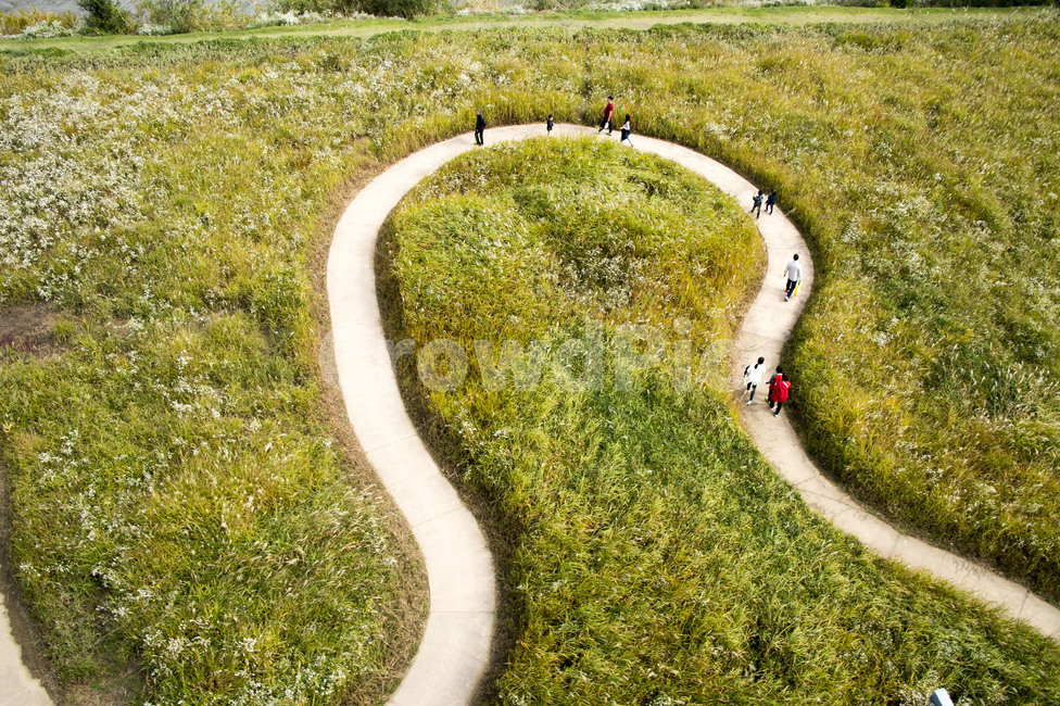 시흥갯골공원,길,억새길,시흥,갯골공원전망대,road,도로,dirt road,흙길,gravel,자갈