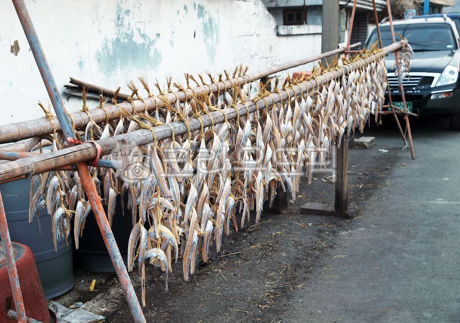 fish,drying,drying process,fishing village,rural area