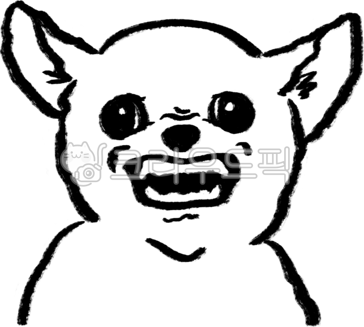 화남,치와와,성격,짖는,난폭,짜증,으르렁,강아지,개,angry,chihuahua,character,personality,howl,wild,annoyance,dog,puppy