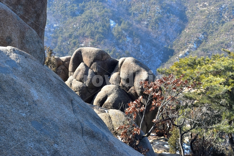 관악산,풍경,겨울,자연,눈,스포츠,등산,산행,nature,snow,겨울풍경,느낌,아름다운,신비로운,경이로운,기암,바위,암봉,암릉,다큐,필,힐링,명산,landscape,winter,season,트레킹,100대명산,인기명산,조망,전망,정부청사,6봉,수목원능선,바윗길,암릉길,명품송,소나무,한국자연풍경,한국자연경관,korea,관양능선,팔봉능선,국기봉,겨울,계절,winter,season,자연,풍경,nature,landscape,한국자연풍경,한국자연경관,korea nature landscape