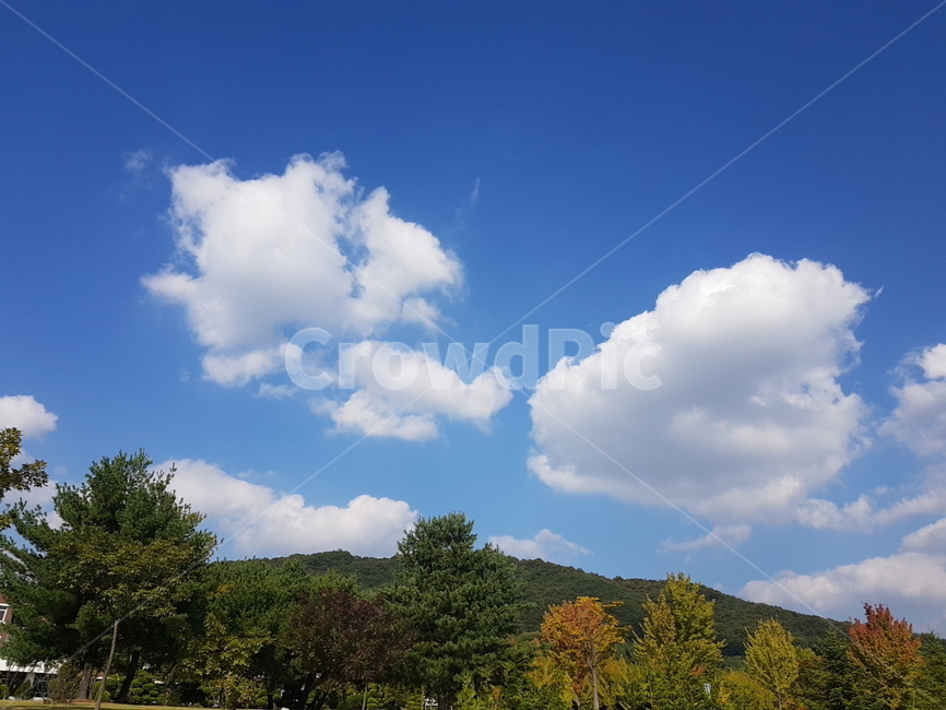 하늘,구름,자연,풍경,산