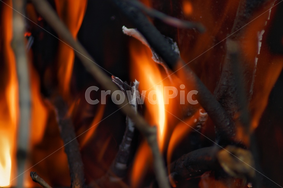 불,fire,불꽃,캠프파이어,장작,숯