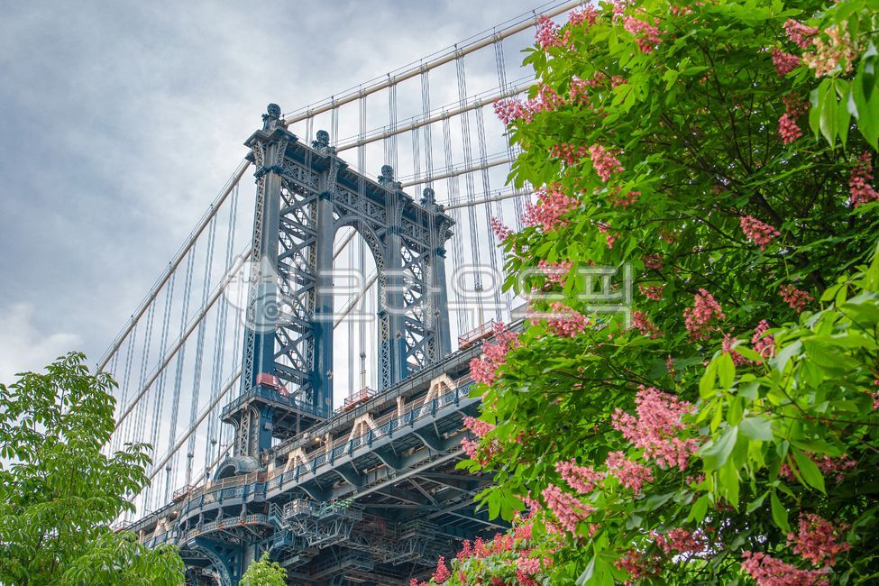 미국,브루클린,다리,brooklyn,usa,america,dumbo,덤보,manhattanbridge,city,도시,물,waterfront,자연,nature,뉴욕,newyork,ny,맨하탄브리시지,맨하탄다리,맨하탄,manhattan