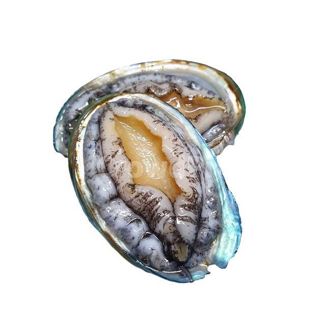 전복,바다,해산물,연체동물,abalone,활전복,seafood,완도,완도전복,음식,식재료,요리,food,cook,meal,dishes,food reserves